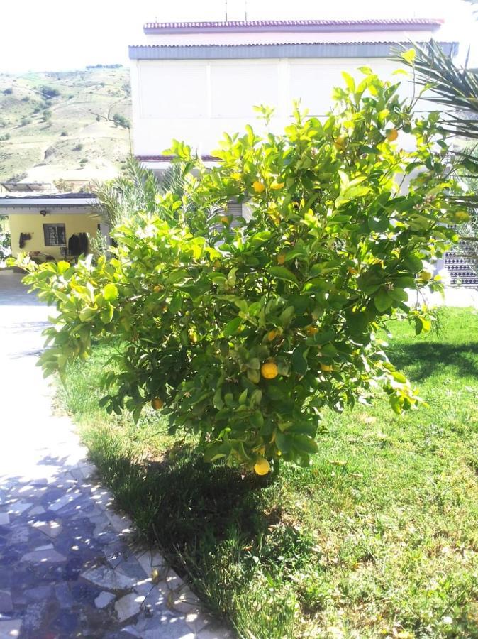 Belle Maison Au Coeur Des Montagnes De Taza A Moins De 10 Minutes De L'Agora Park Villa Bagian luar foto